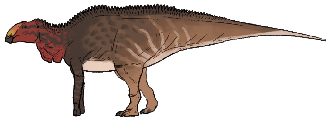 Maiasaura peeblesorum