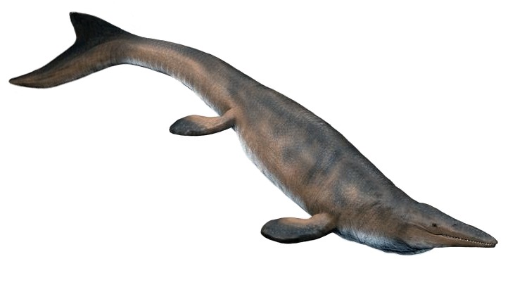 Mosassauro