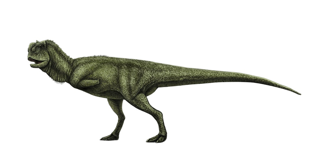 Pycnonemosaurus nevesi