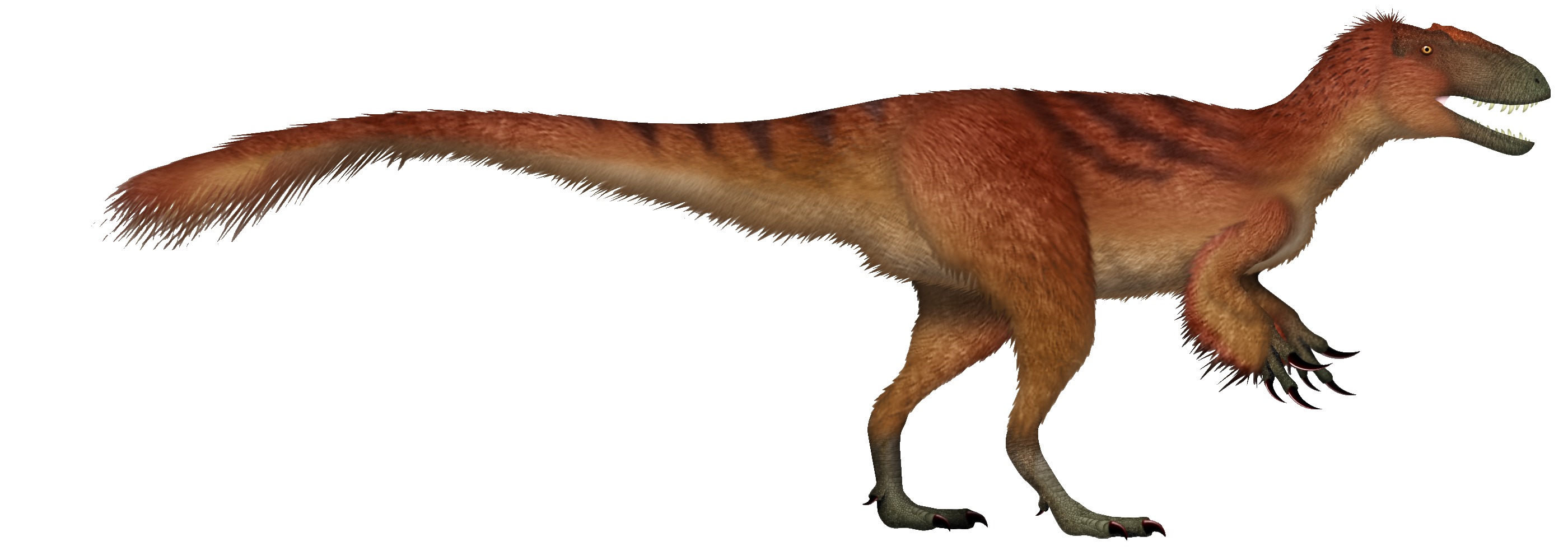 Yutyrannus huali